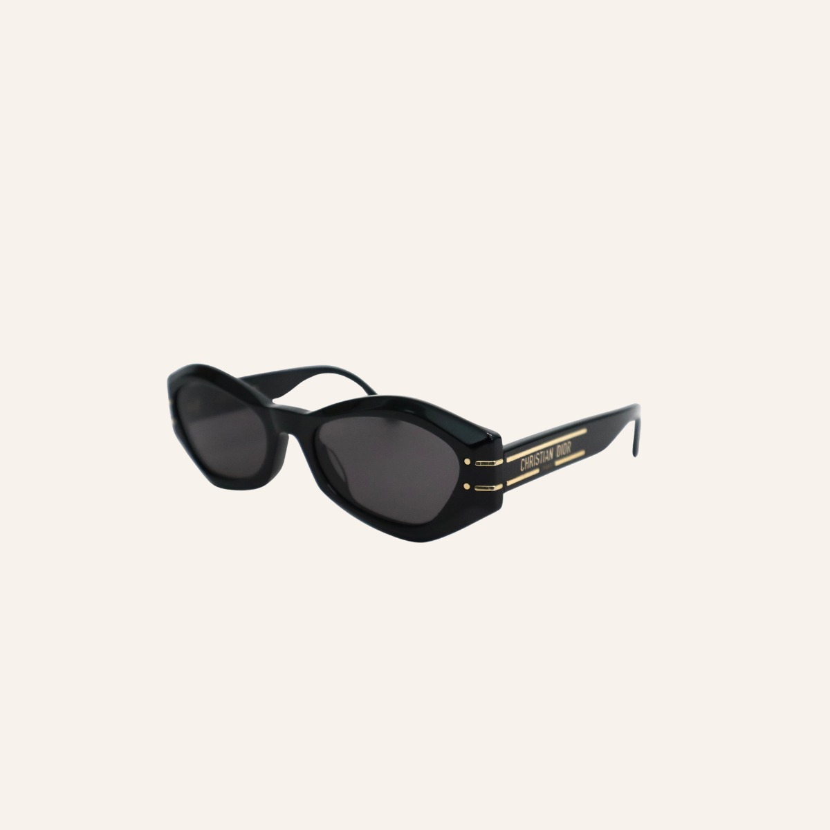 Dior Signature B1U
