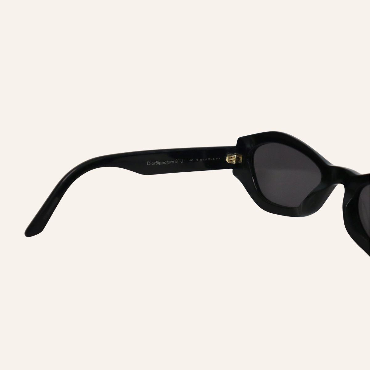 Dior Signature B1U