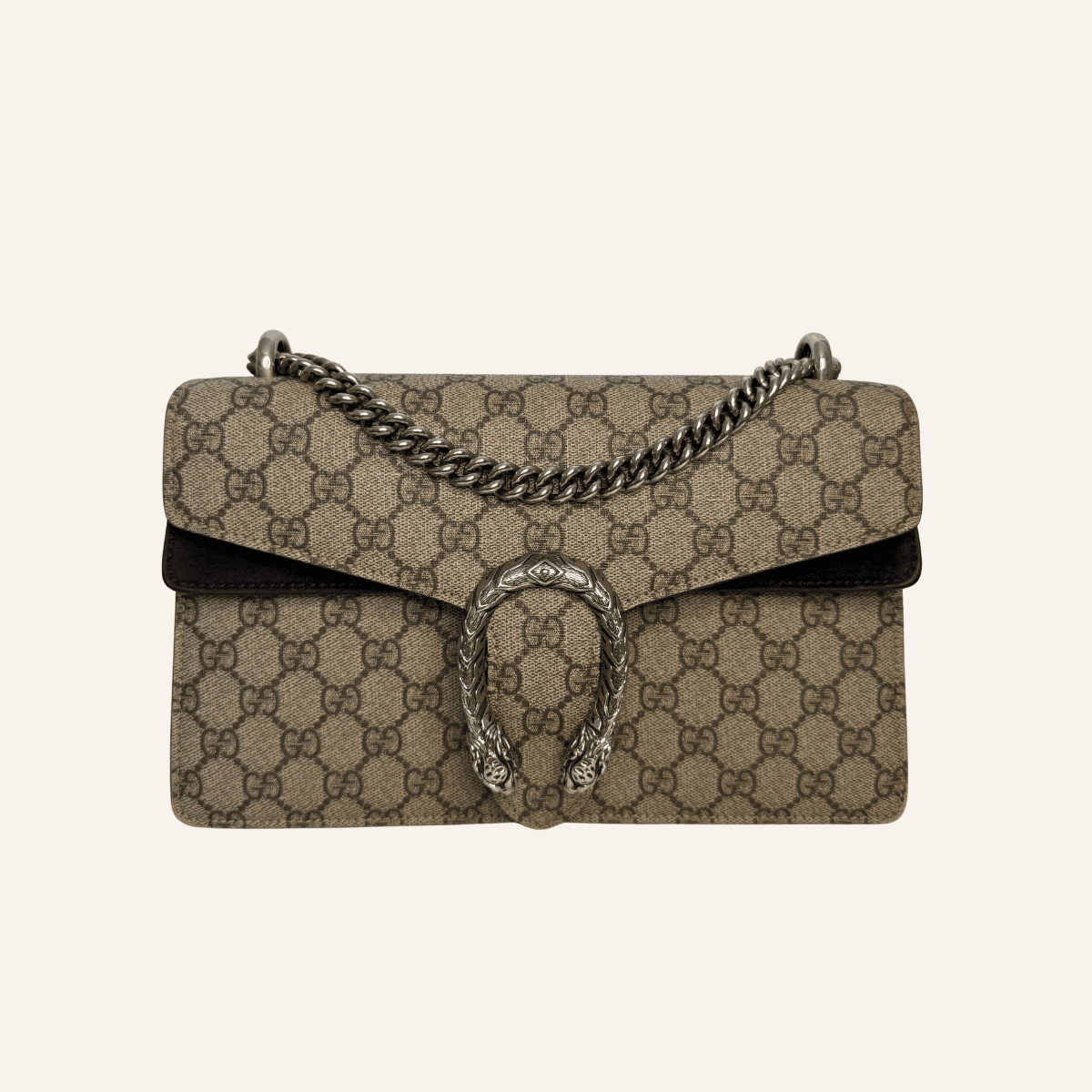Gucci Dionysus Small
